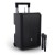 LD Systems ANNY 10 HHD 2 B5 głośnik Bluetooth PA z akumulatorem mikserem i 2x mikrofonem bezprzewodowym