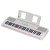 yamaha-ez-310-keyboard-edukacyjny