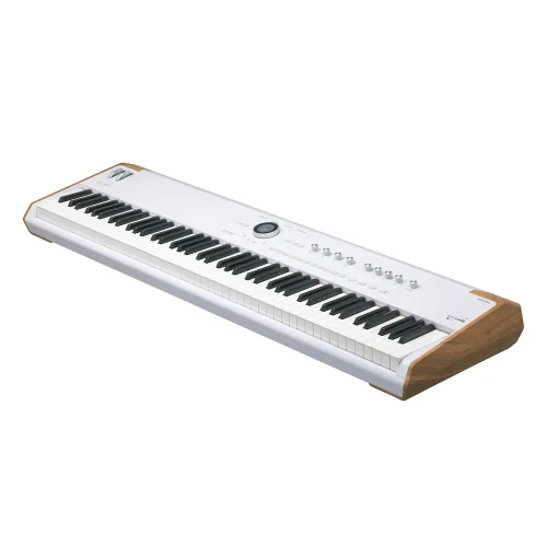 Arturia-AstroLab-88-AngleA.webp
