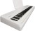 fp-40-wh_angle_2_music_rest_gal.jpg
